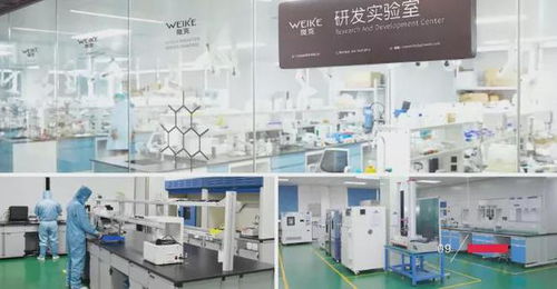 品質(zhì)創(chuàng)新研發(fā)，鑄就輝煌——東莞膜材涂布廠的能源技術新篇章